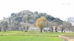 د خوست ترېزیو کې جرګې د ولور کمولو اعلان کړی دی