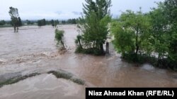 سېلابونو د خلکو فصلونو او کورونو ته هم تاوان رسولی دی: انځور اپریل ۱۵، کال ۲۰۲۴
