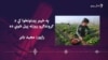خیبر پښتونخوا کې د امریکا او ملګرو ملتونو په مالي مرسته د کروندګرو روزنیز مرکزونه فعال شوي