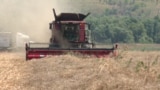 O combină recoltează grâul în județul Galați. Imagine de arhivă. 