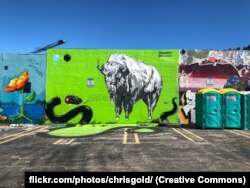 Wynwood walls