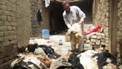 د کانګو ناروغي څنګه خورېږي؟