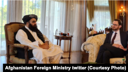 ارشیف: د افغانستان لپاره د امریکا د ځانګړي استازي او د طالبانو د حکومت د بهرنیو چارو د سرپرست وزیر لیدنه