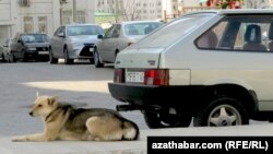 Ашхабад
