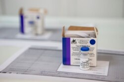 Росія каже: щонайменше 20 країн висловили інтерес до її вакцини