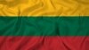 Image result for Вайцякунас