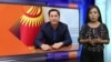 Абдил Сегизбаев жер басып алганбы?