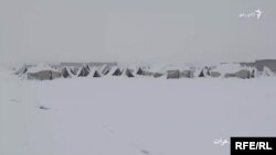 ژمی، ورښتونه او د کېږدیو ژوند