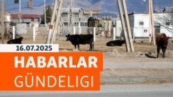 HG: Maryda hor düşen mallar bazara çykarylýar, ýangyç gytçylygy çekirtge belasyna 'urna boldy'