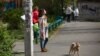 Синоптики попереджають, що вже на вихідних температура знову впаде