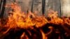 У Нижньогірському спалили могили російського «воєнкора» Олександра Федорчака і ще трьох військових РФ