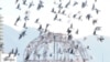 U.S. Attends Hiroshima Memorial