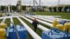 «Нафтогаз України» вимагає від Німеччини залучити його до розгляду розширення доступу «Газпрому» до OPAL