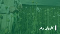 جواد: اعتیاد به مواد مخدر در خانواده و جامعه منفورم ساخته بود