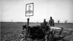 100 yıl evelsi Özbekistan nasıl bir yer edi? Fotoressam Maks Penson memleketniñ fotoresimlerini yapıp, traktorlar peyda olğanını kösterdi