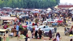 خوست خلبیسات مېلې ته د بېلا بېلو ولایتونه خلک ورځي