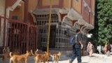 SOMALIA-ANIMALS/CARER