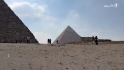 په مصر کې کوڅه ډبو سپیو څنګه د سیلانیانو پام ځان ته اړولی دی؟
