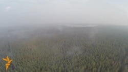 Forest Fires Ravage Outskirts of Kyiv