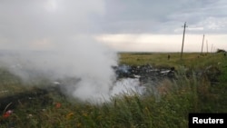 Ukraine -- The site of a Malaysia Airlines Boeing 777 plane crash is seen near the settlement of Grabovo in the Donetsk region, July 17, 2014.