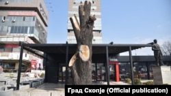 Нелегално исечено дрво пред трговскиот центар Мавровка во Скопје на 30 март 2020