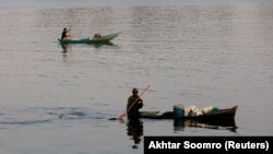 د سیند صوبې په ساحلي پټۍ کې کب نیوونکي