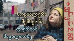 სიღარიბე და სოციალური დახმარება საქართველოში - ფენოვანი 2.50