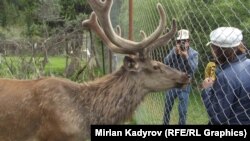 Нарынский государственный заповедник, архивное фото.