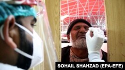 چارواکي وايي، کورونا په سیند صوبه کې زیات خلک ځپلي دي: د ارشیف انځور 