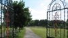 Image result for Аліфяровіч
