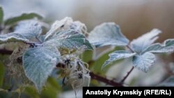 У квітні нічні заморозки сягали 3-5 градусів