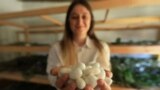 ALBANIA-ECONOMY-TRADITION