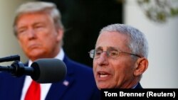 Anthony Fauci, cel mai mare expert în boli infecțioase pe care-l au SUA