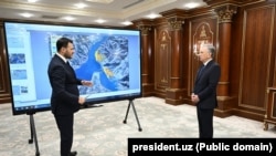 Sea Breeze Uzbekistan курорт мажмуаси ташаббусчиси, расман эълон қилинганига кўра, шахсан президент Шавкат Мирзиëевнинг ўзи¸ижрочиси эса Озарбайжон президенти Илҳом Алиевнинг собиқ куëви Эмин Агаларовдир.