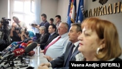 Vojislav Šešelj i radikali
