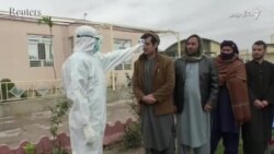 کورونا وايرس: له هرات زندانه بنديان خوشي شوي